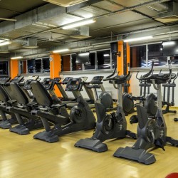 Фитнес-клуб "ALEX FITNESS" Фитнес-клуб "ALEX FITNESS"