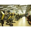 Фитнес-клуб ALEX FITNESS (Алекс Фитнес) в ГУМе Фитнес-клуб ALEX FITNESS (Алекс Фитнес) в ГУМе